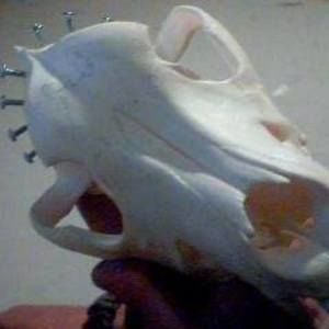 Meet your Posher, Aaron